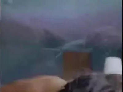 列维将珠宝幻想变为现实