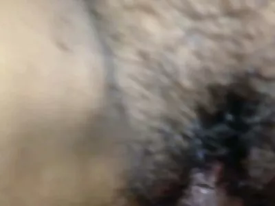 猫杀手