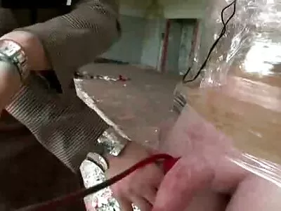 公鸡饿死美洲狮舔卷火腿