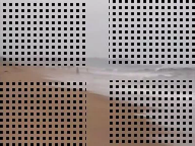 烈日下浇灌的巨型木瓜